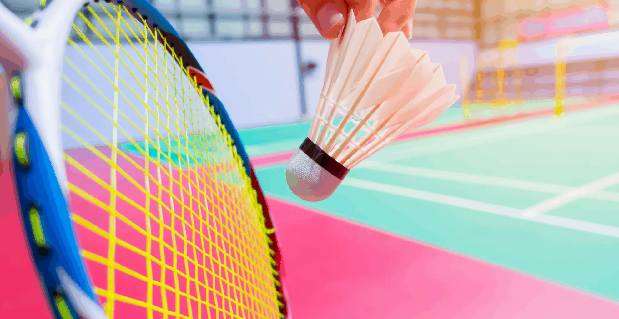 What Are The Differences Between Badminton And Pickleball?